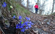 Sul CORNO ZUCCONE, guardiano della Val Taleggio, il 1 marzo 2016 - FOTOGALLERY